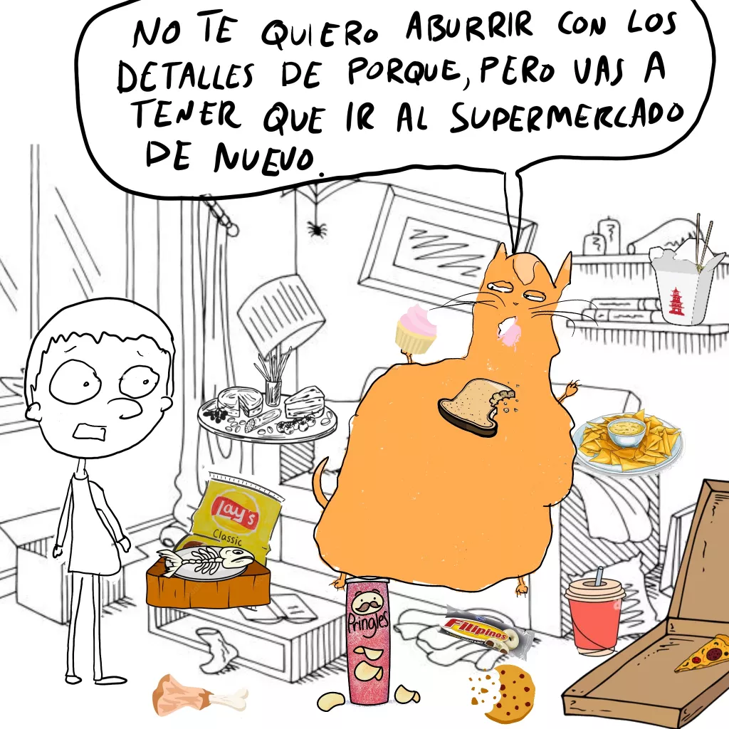 gato naranja part 1